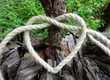 Ein Seil, das zu einem Herzförmigen Knoten geformt ist