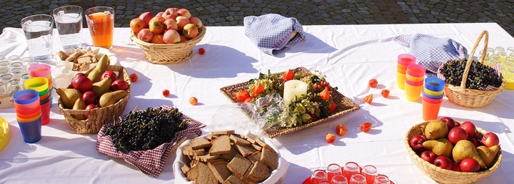 Picknicktisch mit Obst, Saft, Crackern und bunten Bechern am Wasser. 